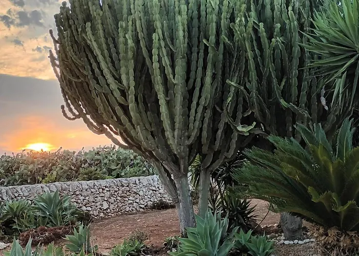 Lejlighed Chimera Pachino