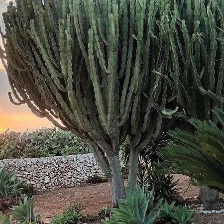 Lägenhet Chimera Pachino