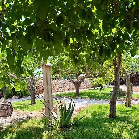 Διαμέρισμα Chimera *